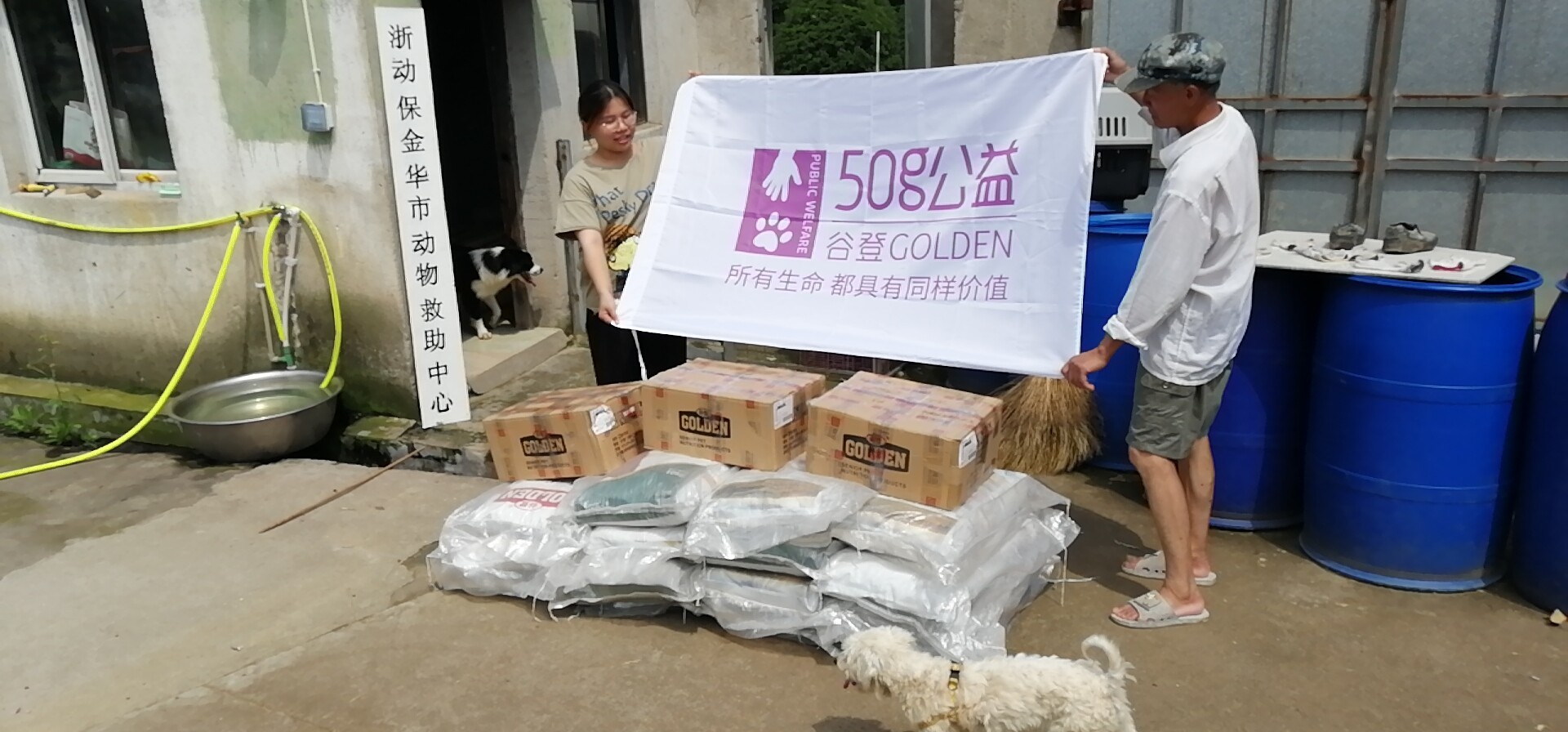攜手公益，溫暖同行——金華錦安寵物用品攜谷登50g助力動物救助