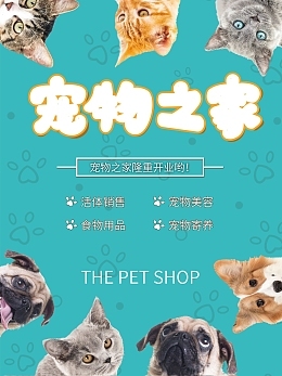 寵物用品銷售中的食物分解模板在線制作 創(chuàng)新工具助力營(yíng)銷增長(zhǎng)