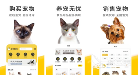 2022年市面上好用的買(mǎi)貓軟件及寵物用品銷售平臺(tái)推薦
