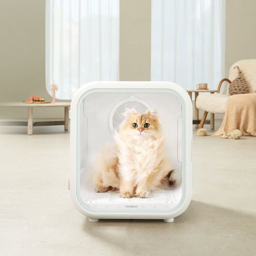 攜手藝術(shù)家聯(lián)名跨界，霍曼以智能科技重塑寵物用品新高度