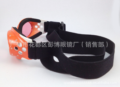 聚焦專業制造 彭博眼鏡廠引領寵物時尚與防護新潮流